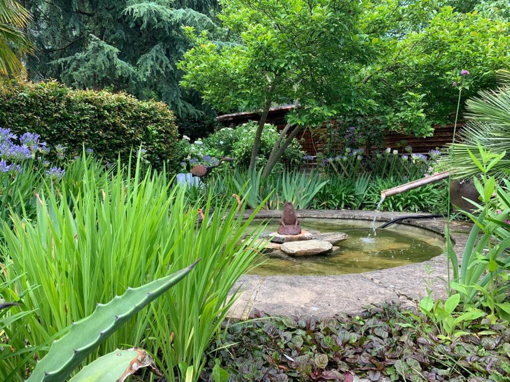 Grande maison en pierre, calme, jardin arboré. Roz-Landrieux Extérieur photo