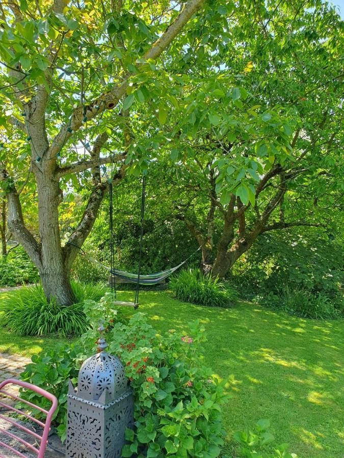 Grande maison en pierre, calme, jardin arboré. Roz-Landrieux Extérieur photo