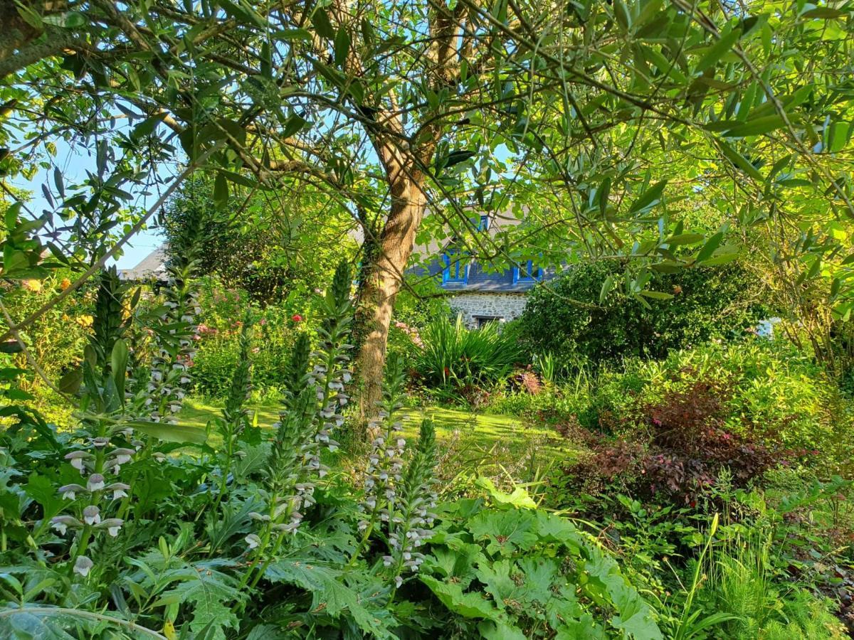 Grande maison en pierre, calme, jardin arboré. Roz-Landrieux Extérieur photo