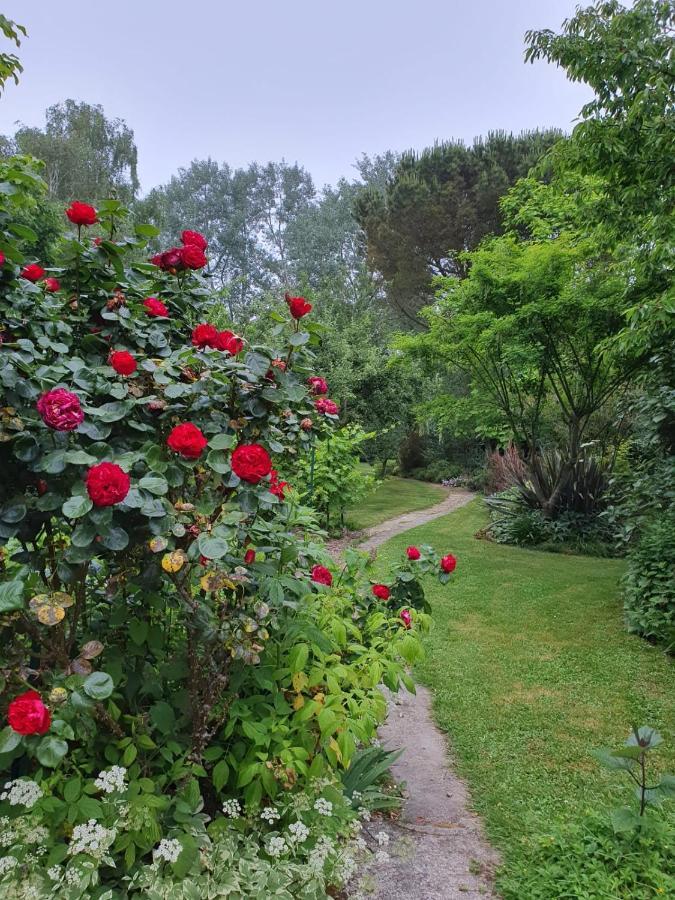 Grande maison en pierre, calme, jardin arboré. Roz-Landrieux Extérieur photo